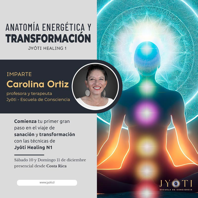 anatomia energetica costa rica weblow b