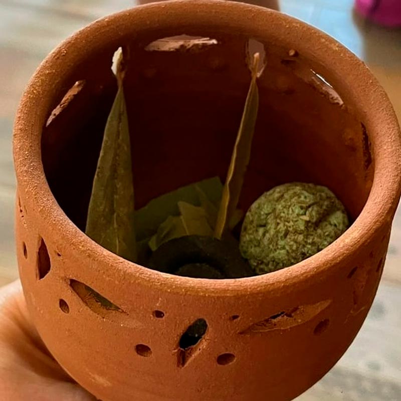 planta-rito-web