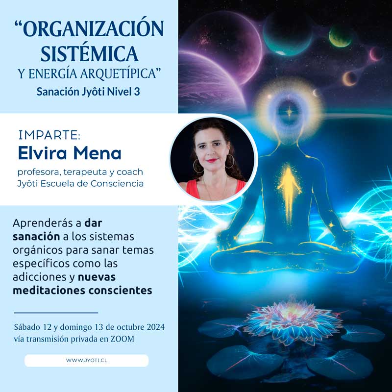 N3 organizacion sistemica octubre 2024 cuboWEB