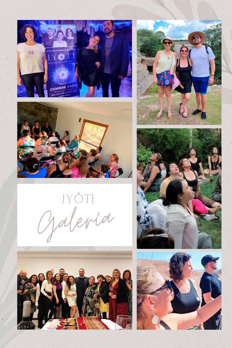 collage galeria web
